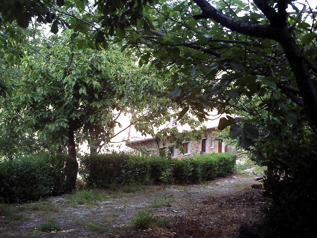Apartamentos Condado De Miranda Miranda del Castañar Buitenkant foto